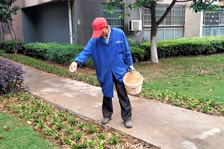 鹰潭给绿植施肥